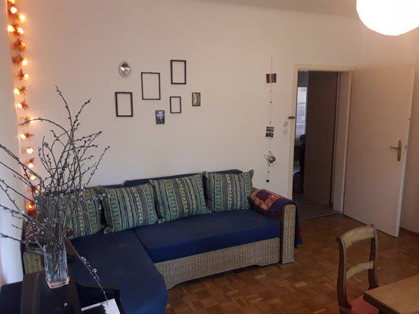 Vienna, Austria sonniges und ruhiges Zimmer im 13. Bezirk Private room in rental unit vacation rental 26679179