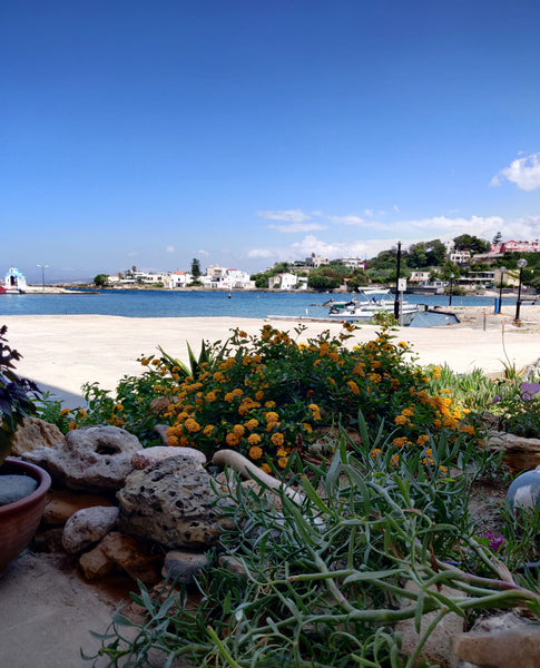 Vrahakia is a cosy little house with a rocky garden and spectacular seaview. The Chania, Greece Vrahakia Apartment #2 at Marina Galatas Entire rental unit vacation rental 13537802