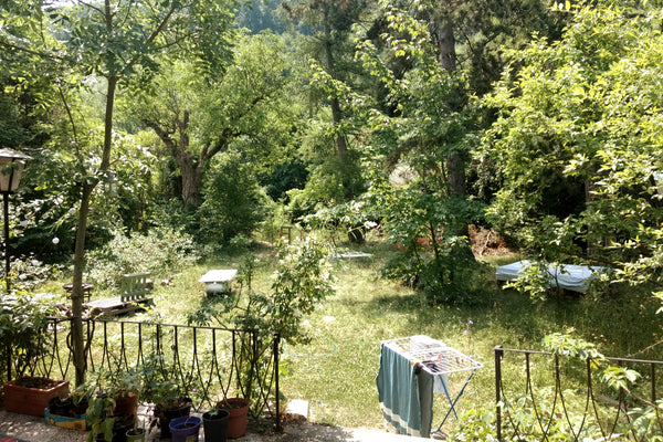 Looking for some calmness, nature and freshness over the summer? I am renting ou Lüneburg, Germany Sommerparadies mit Wienanbindung Entire guesthouse vacation rental 679355498536840003