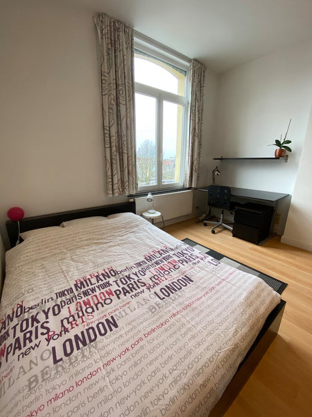 Nice renovated flat -50 m2 located in a family house, with back view on quiet ga Schaerbeek, Belgium Bright flat in Schaerbeek with view on Brussels Entire rental unit vacation rental 33134496