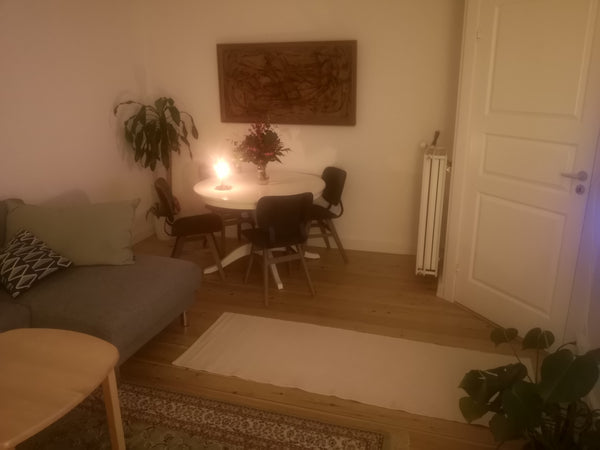 Copenhagen, Denmark Central 2 bedroom apt. Close to metro and park Entire rental unit vacation rental 43258252