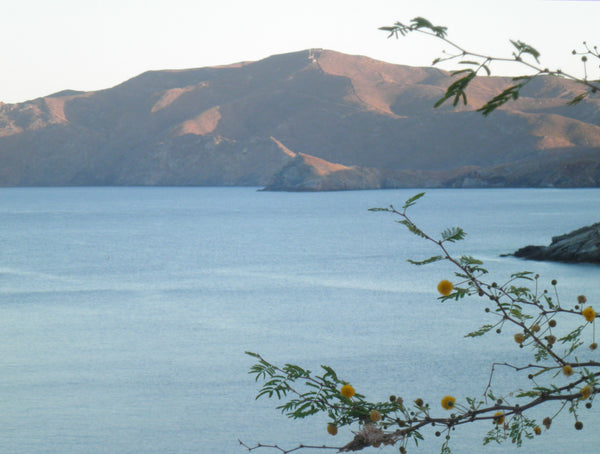 The house is located 50 m from the beautiful Potamia beach that is well protecte  Sea front house at Potamia beach Cycladic home vacation rental 7409531