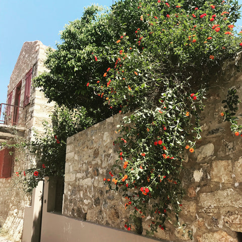 A traditional stone house complex, built over a couple of centuries, it was full Amsterdam, Netherlands Traditional stand-alone house in a small village Entire home vacation rental 24352063