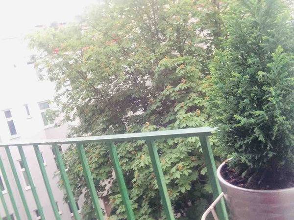 Apartment with balcony,<br />- one minute to 