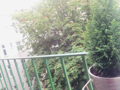 Apartment with balcony,<br />- one minute to "Donaukanal"<br />- ten minutes to  Vienna, Austria 60qm2 Apartment at DONAUKANAL Entire rental unit vacation rental 32008379