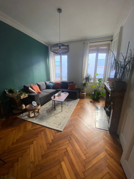 Apartment of 80m2 typical of the center of Lyon, near Rhone, Presqu'ile, Part Di Lyon, France Chambre dans grand appartement plein centre Lyon Private room in rental unit vacation rental 700034225411808198