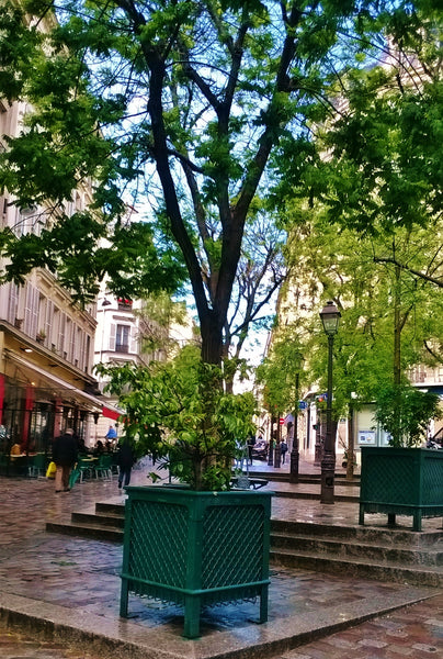 Appartement calme (situé dans une cour).<br />Idéal pour 2 personnes, pouvant ac Paris, France Charmant appartement (45m²) Paris 9e Entire rental unit vacation rental 3063090