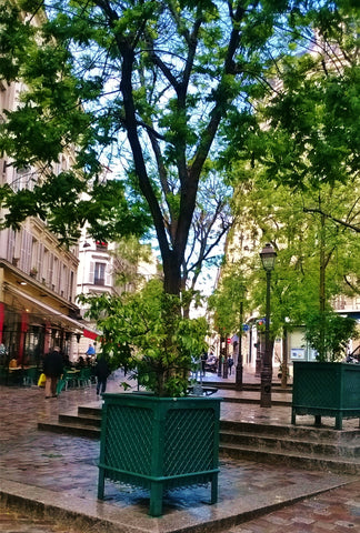 Appartement calme (situé dans une cour).<br />Idéal pour 2 personnes, pouvant ac Paris, France Charmant appartement (45m²) Paris 9e Entire rental unit vacation rental 3063090