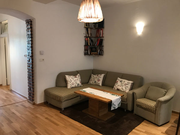 Nice apartment located near Schönbrunn palace (15 min walk or 5 min by bus) and   Nice apartment near Schönbrunn & City Center Entire condo vacation rental 626779400731438376