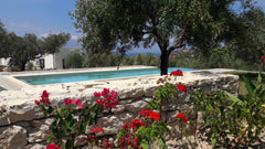 Our styled brand new “houses in nature” are situated in the olive groves of Lyri Kissamos, Greece WeCrete - Houses in Nature, Family Apartment Entire rental unit vacation rental 20488481