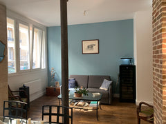 Appartement spacieux (60m²) et agréable comportant une grande chambre, un grand  Paris, France Charmant appartement parisien Entire rental unit vacation rental 9929589