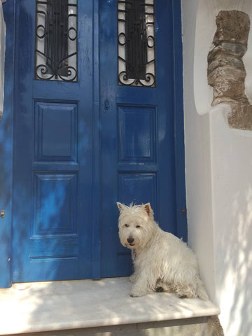 Enjoy & Relax with the whole family or friends at this peaceful, sunny and good   Blue & White: An Absolute Aegean dream house Cycladic home vacation rental 51016525