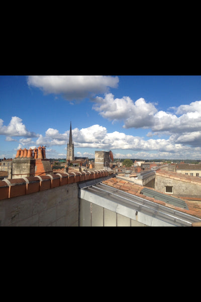 En plein cœur du quartier historique de saint Michel, dans un immeuble en Pierre Lyon, France Grande chambre lumineuse avec terrasse Private room in rental unit vacation rental 19147076