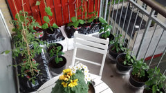 Central located apartment close to the metro station, nice parks and streets wit Copenhagen, Denmark Centrally placed apartment with big sunny balcony Entire rental unit vacation rental 39980850