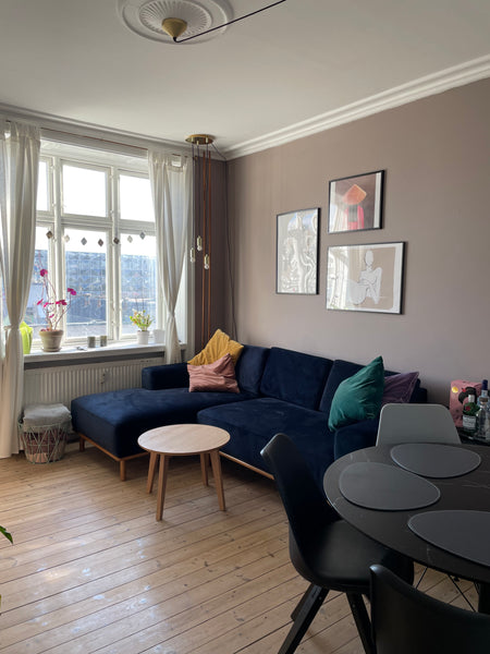 Hyggelig lejlighed med eget værelse, stue, køkken og toilet. Tæt på metro, bus o Copenhagen, Denmark Hyggelig lejlighed med god beliggenhed Entire condo vacation rental 628028156456774667