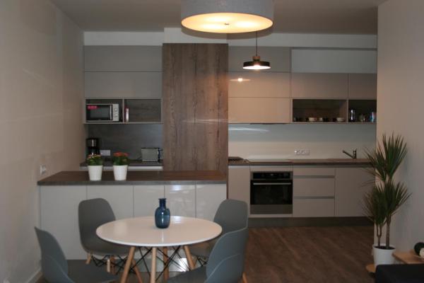 Byt 55 m2 s jednou ložnicí, obývacím pokojem s kuchyňskou linkou, koupelnou s WC Prague, Czechia Karlín apartment Entire rental unit vacation rental 21023779