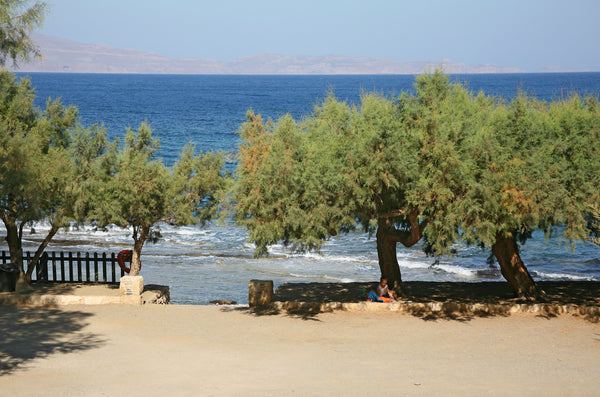 Get to know the real Crete, experiencing the charm and calm of daily life in a r Chania, Greece Waves on the Rock, Sea View  2 Entire rental unit vacation rental 689426