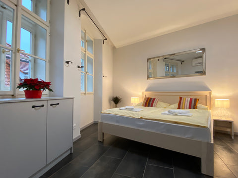 Apartment is on 2nd floor. Spacious with bathroom and view to street. Prague, Czechia Large double room (201) Entire rental unit vacation rental 604824483856816472