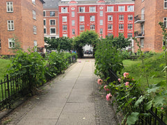 Cozy apartment near Copenhagen City Center with a beautiful back yard. Nice area Copenhagen, Denmark Cozy 2 room apartment in the heart of Nørrebro Entire rental unit vacation rental 43859236