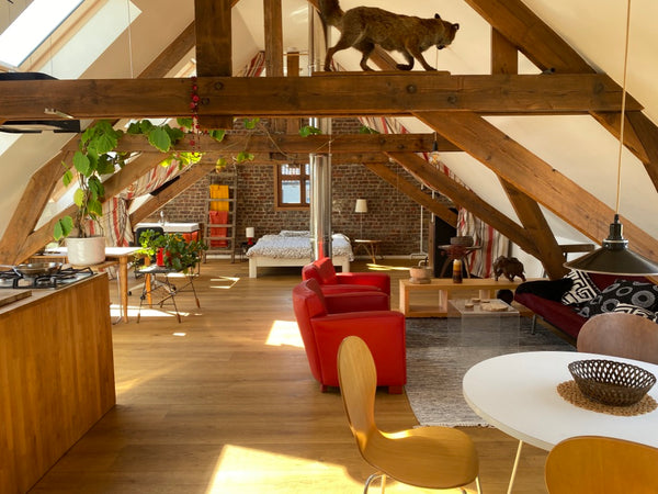 A quiet and beautiful loft with private roof terrace and a small pool, within wa Ghent, Belgium Loft attic with roof terrace and small pool Private room in loft vacation rental 38563377