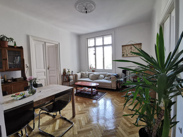Genieße das einfache Leben in dieser ruhigen und zentral gelegenen Unterkunft. Vienna, Austria Privatzimmer in Wien Private room in rental unit vacation rental 559890689777530764