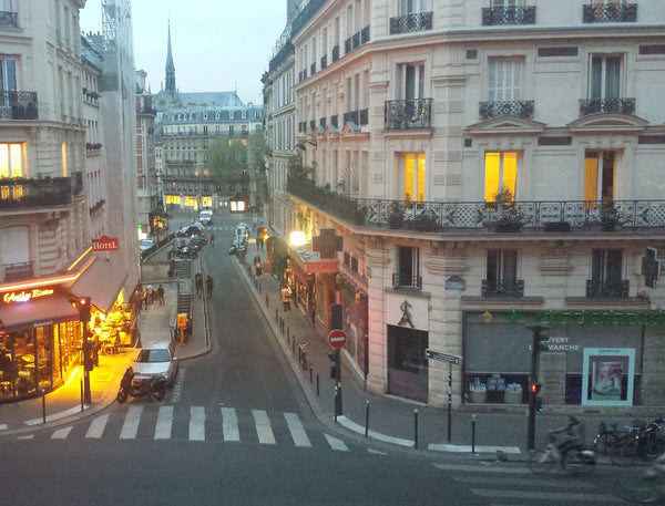 Nice 1 bedroom 320 sq. ft. in the heart of the Latin Quarter with balcony, view  Paris, France Superb! Latin Quarter with balcony Entire rental unit vacation rental 4774663