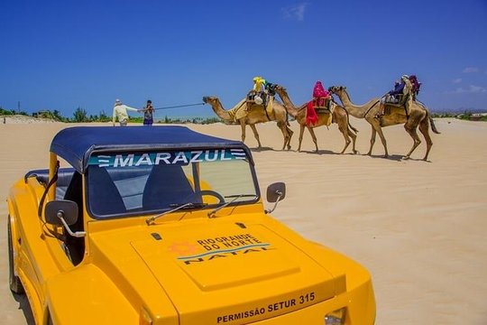 Tour de Buggy pelo Litoral Norte Genipabu by Marazul Receptivo  Private Tours and Travel Guide America Fortaleza CITY Natal Destination Tour