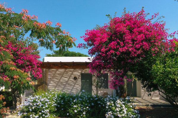 LIBECCIO è uno degli appartamenti della Rosa dei Venti ,  un piccolo residence s Motta di Livenza, Italy La Rosa Dei Venti - Appartamento Libeccio Entire rental unit vacation rental 30164357