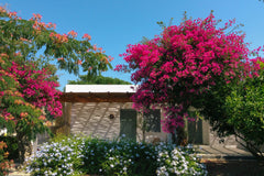 LIBECCIO è uno degli appartamenti della Rosa dei Venti ,  un piccolo residence s Motta di Livenza, Italy La Rosa Dei Venti - Appartamento Libeccio Entire rental unit vacation rental 30164357