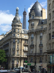 Tranquility and comfort - just a few hundred meters from the Eiffel Tower.<br /> Paris, France 3 pièces fabuleux Tour Eiffel Entire rental unit vacation rental 1532256
