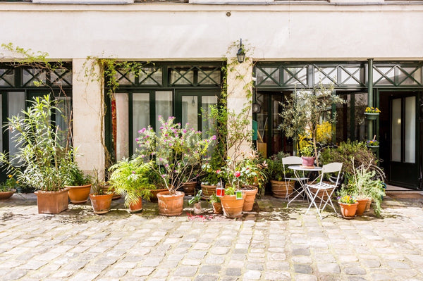 A renovated triplex with sauna and gym in Paris’ Latin Quarter,amazing view on M Paris, France Like a house in Paris Entire rental unit vacation rental 13458695