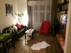 Room in a apartment after reconstruction (3 + kitchen) nearby Vysehrad. Nice, li Prague, Czechia Cute apartment with soul of history Private room in rental unit vacation rental 15716479