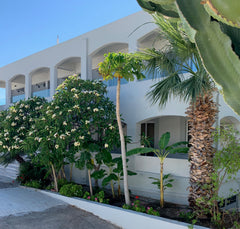 Fully equipped open plan Studios & Apartments in Pefkos, Rhodes, Greece <br />​<  PALS Studios Pefkos, Studio with balcony Room in aparthotel vacation rental 42782814