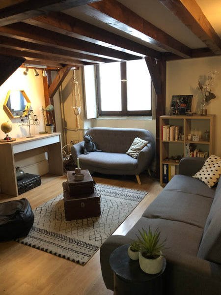 Charmant vieil appartement atypique de 30m²  avec grand coin nuit sur mezzanine  Lyon, France Charmant appartement atypique Entire rental unit vacation rental 33472088