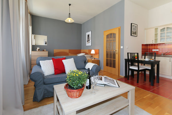 Fully furnished studio, situated on the 1st floor in a well maintained building  Mníšek pod Brdy, Czechia Sazavska 6, # 11 Entire rental unit vacation rental 30242017