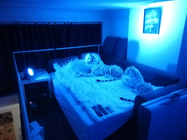 Benjamin et eric, naturiste, nous vous reçevons à 10 minutes du centre de Bruxel Anderlecht, Belgium Benja et eric gay convivial (naturiste ou pas) Private room in rental unit vacation rental 33982281