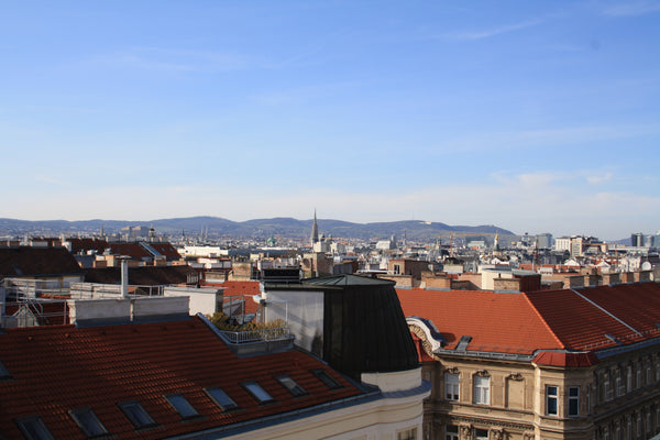 Our beautiful flat in the heart of Vienna is located directly next to the famous Vienna, Austria Big bright room in a shared flat, rooftop access Private room in rental unit vacation rental 24172349
