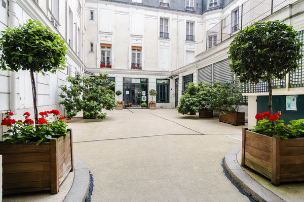 Charming suite in the heart of Paris, completely redone with the modern comfort. Paris, France Spacious Parisian flat in historical latin quarter Entire rental unit vacation rental 1279655