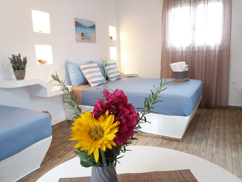 A beautiful apartment in a Cycladic style, inside a garden, just outside the cen Greece PERIVOLI 1 - (5 min away from the center by car) Cycladic home vacation rental 15380687