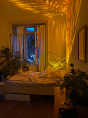 Das Zimmer hat an zwei Seiten jeweils eine große Fensterfront wodurch das Zimmer Vienna, Austria Großes lichtdurchflutetes Zimmer in Wien Private room in rental unit vacation rental 701412586007588238