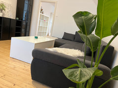 Spacious and illuminated beautiful Apartment near to Vienna. Its sized with 65m2  Nice Appartement Entire condo vacation rental 678693066407792438