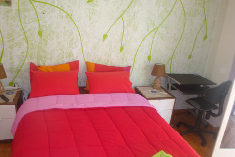 Apartment 57 m2 after renovation from the garden. Bedroom - double bed, living r Athens, Attica, Greece Magical apartment Entire rental unit vacation rental 4453537