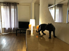 Bonsoir, nous serons heureux de vous accueillir dans notre appartement de 80m2,  Genas, France FÊTE DES LUMIÈRES Appartement 80m2 centre Ville Private room in rental unit vacation rental 22119935