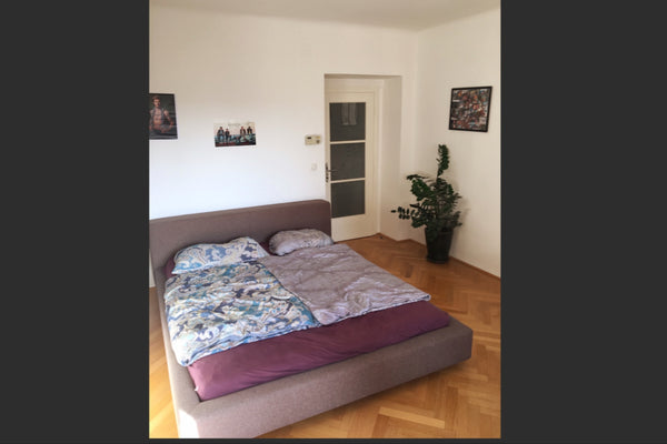 Stilvoll eingerichtete Neubau Wohnung mitten im Zentrum von Wien. Sehr gute Anbi Vienna, Austria Stilvolle Wohnung in perfekter Lage im 1. Bezirk Entire rental unit vacation rental 36216026