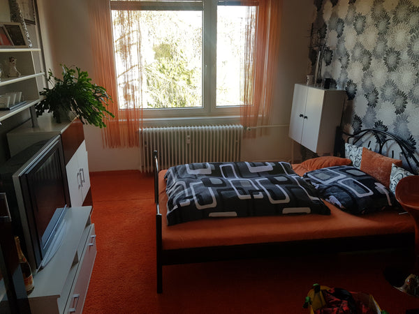 Jenda Apartment Prague, Czechia Jenda Apartment Entire rental unit vacation rental 42423153