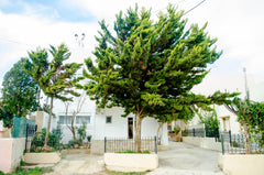 Our appartment is a perfect place for vacations , its 100m away of the central b Greece Sun By The Sea , 100m. from they beach. Entire rental unit vacation rental 22176088