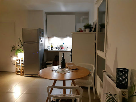 Appartement 45m2 moderne, lumineux et cosy. 1 chambre et 1 bon canapé-lit, salle Lyon, France Appartement Lyon 7, joli et lumineux Entire rental unit vacation rental 40172319