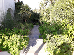 Our house 'Maroulis garden' is situated in Ano Potamia, a small village on Naxos Ano Potamia, Greece Maroulis garden Entire rental unit vacation rental 31141558
