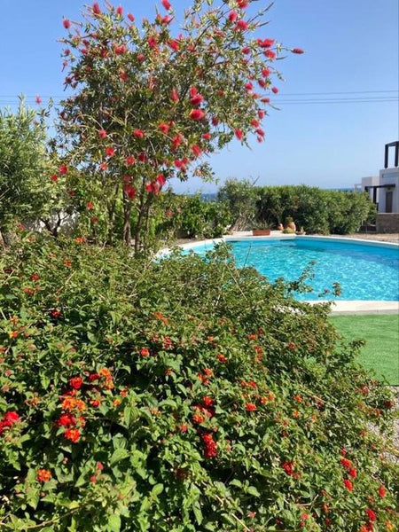 Villa Nastasia is a splendid and peaceful holiday home with a swimming pool, sur Greece Villa Nastazia, Kiotari Entire villa vacation rental 47491683