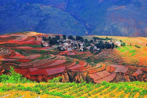 2 Day Kunming Private Tour: Stone Forest and Dongchuan Red Land  Private Tours and Travel Guide Asia Shanghai CITY Kunming Destination Tour Asia Shanghai CITY Kunming